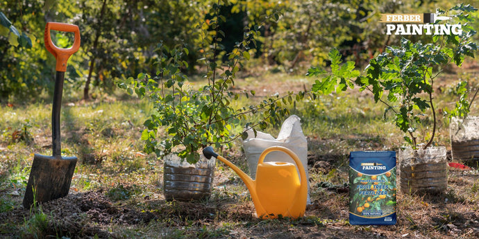 Che tipo di fertilizzante per gli alberi da frutto?